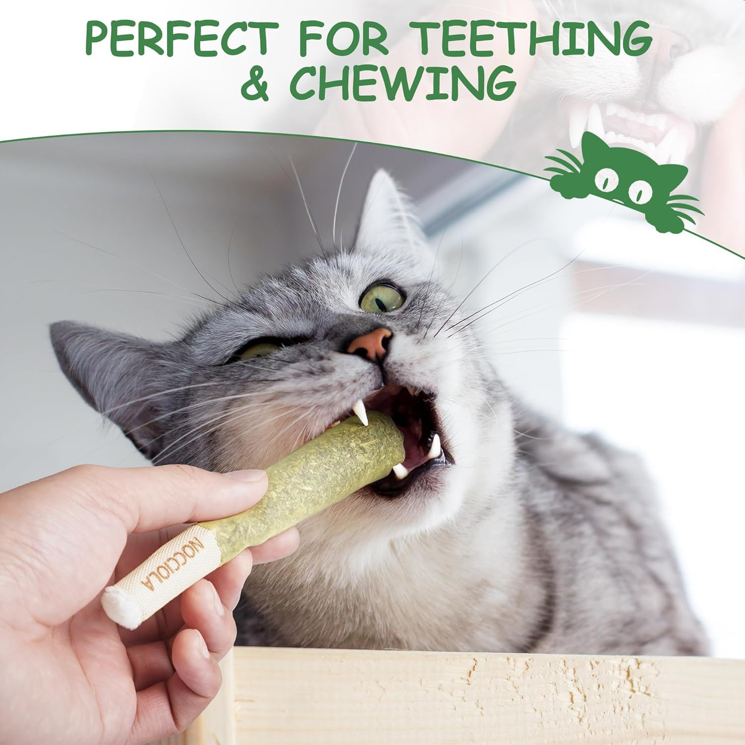 Nocciola 3 Pack Catnip Toys for Cats, Funny Cat Toys Filled with 100% Pure Organ
