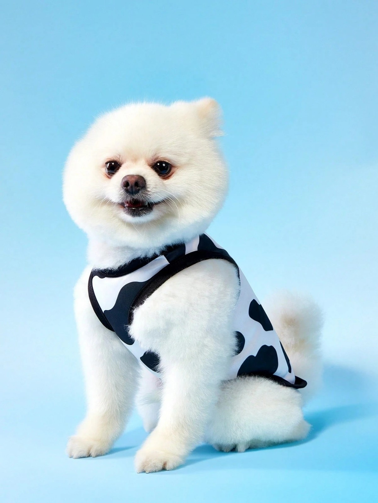 2PCS Small Pet Dog Cat Summer Shirts Vest Clothes Cute Puppy TShirt Coat Apparel