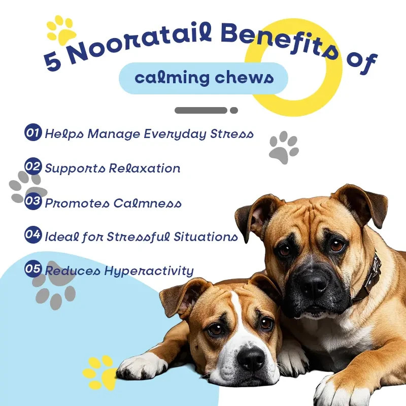 Noora Dog Calming Supplement Chews Stress Anxiety Relief for Dogs of All Sizes