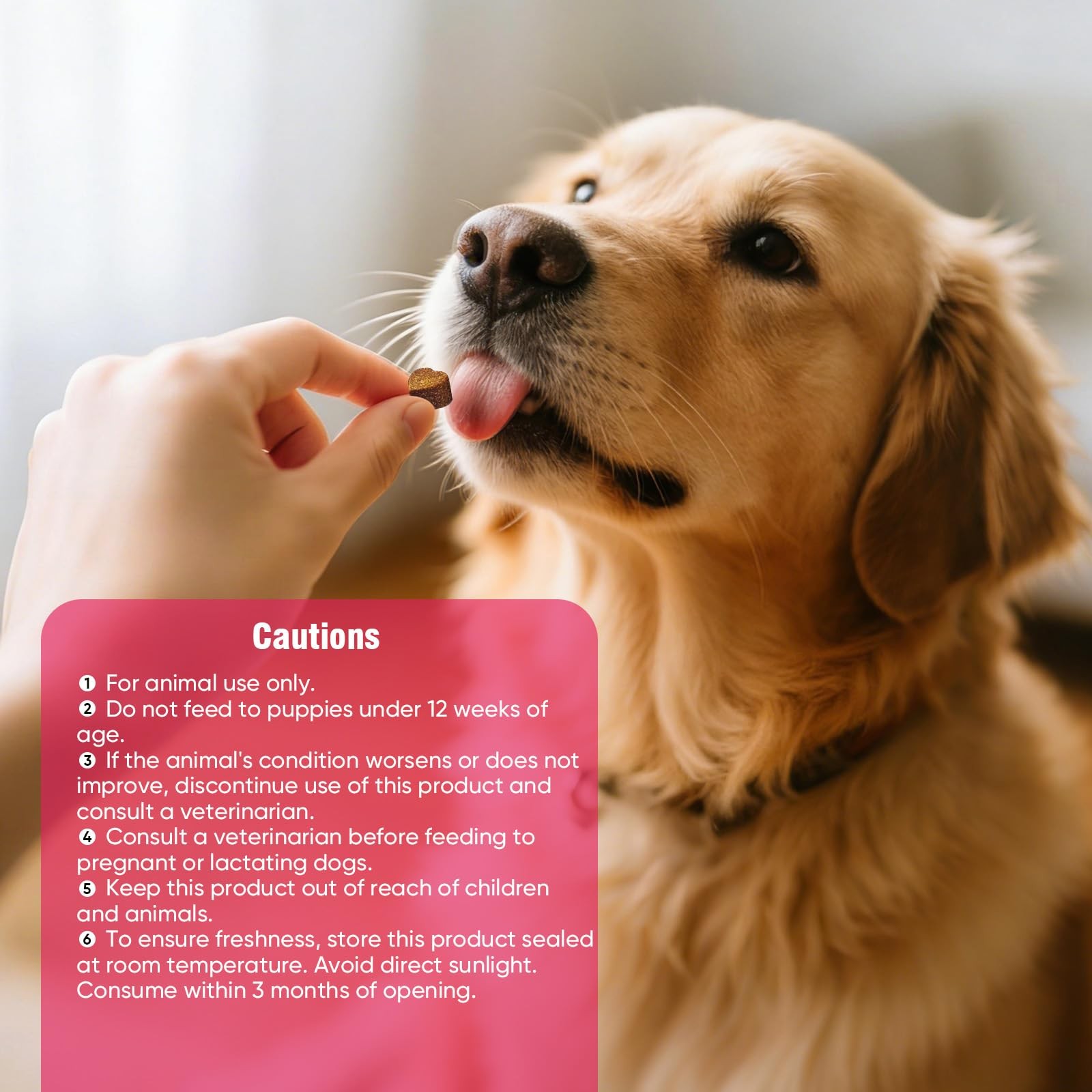 Ttlxrl Dog Allergy Chews For Itchy Support 200 Soft Chews