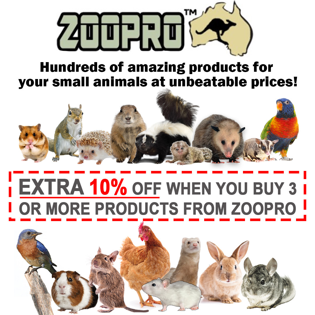 Flower Treat (3 Pack) – Herbivore Treat – Squirrel, Guinea Pig, Rabbit & More