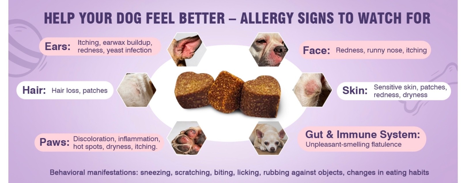 TTLXRL Allergy and Itching Chews for Dogs, 200pc, Chicken Flavored