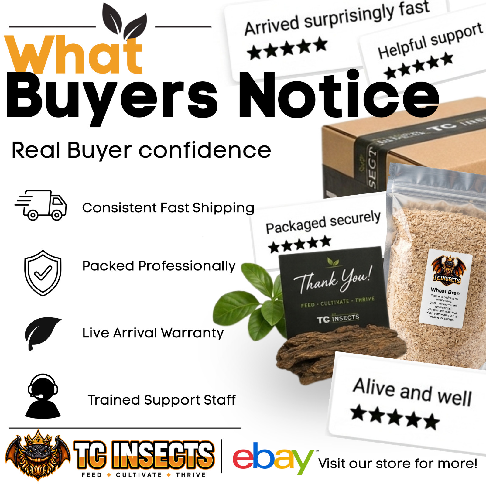 Live Hornworms | ½–1 Inch Size | Feeder Insects | FAST FREE SHIPPING