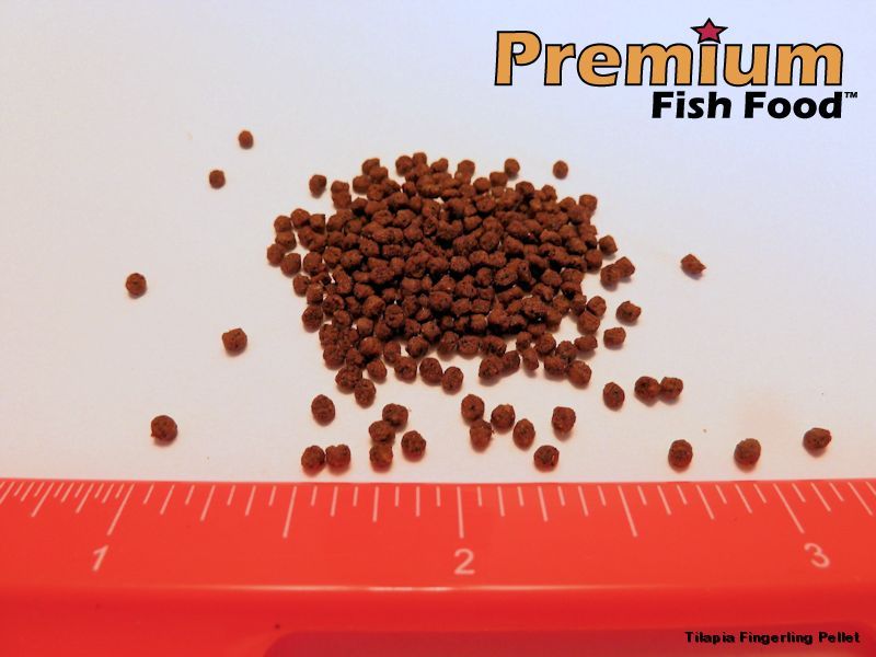 Premium Fingerling Pellet food 10 lb for Tilapia LAND ANIMAL FREE aquaponics