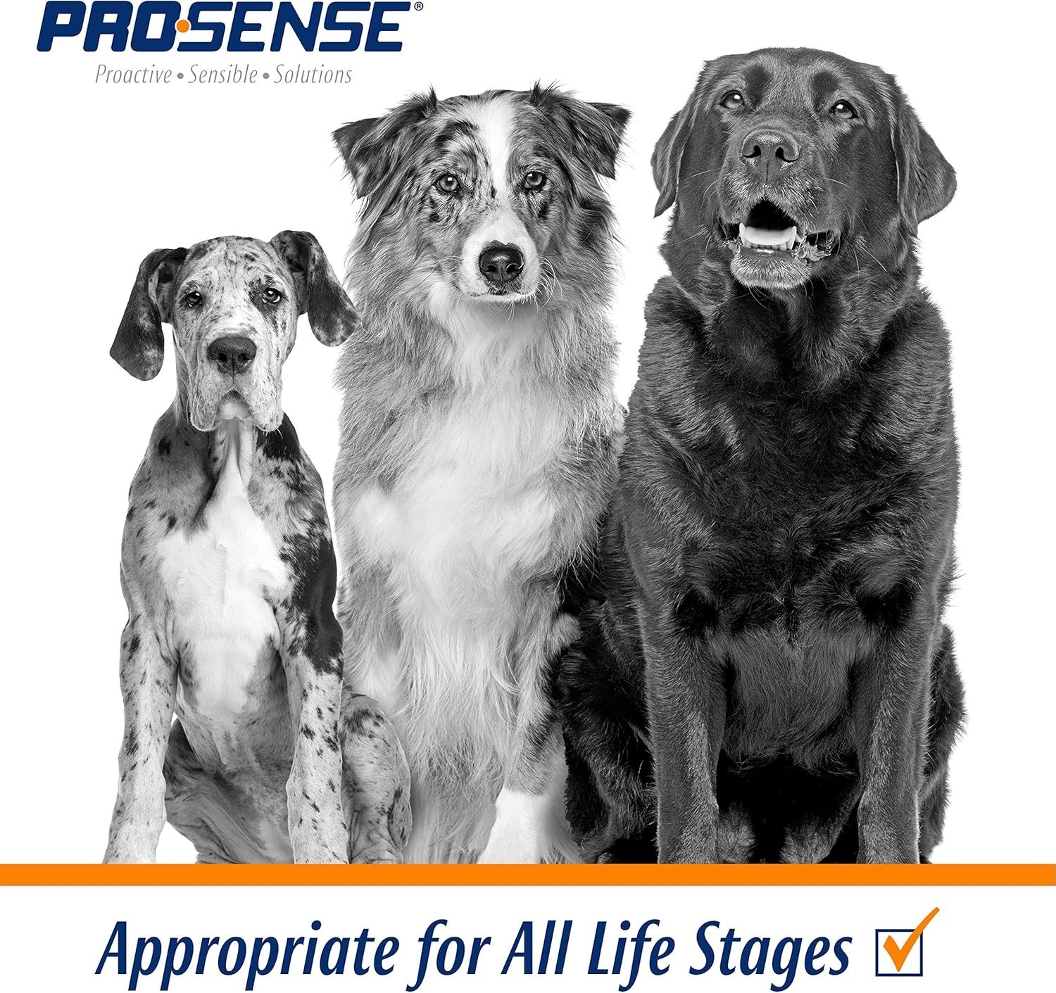 Dog Multi Vitamins For All Life Stages Health Care Chewable Tablets 90 COUNTRY