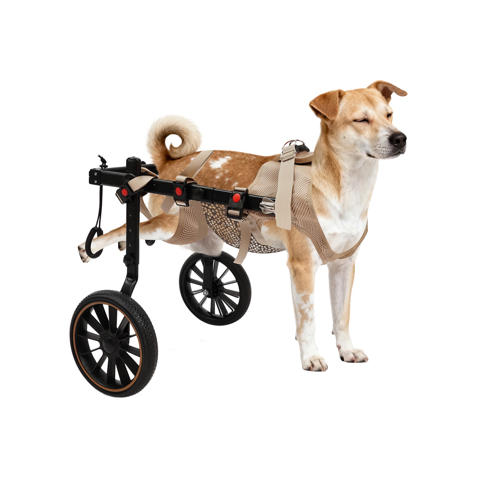 2-Wheel Dog Wheelchairs for Back Legs Adjustable Pet Rehabilitation Walking Aid