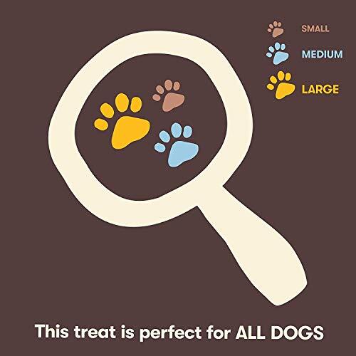 Beef Lung Dog Treats – Made and Sourced in the USA – Training Treat – 9 Ounce