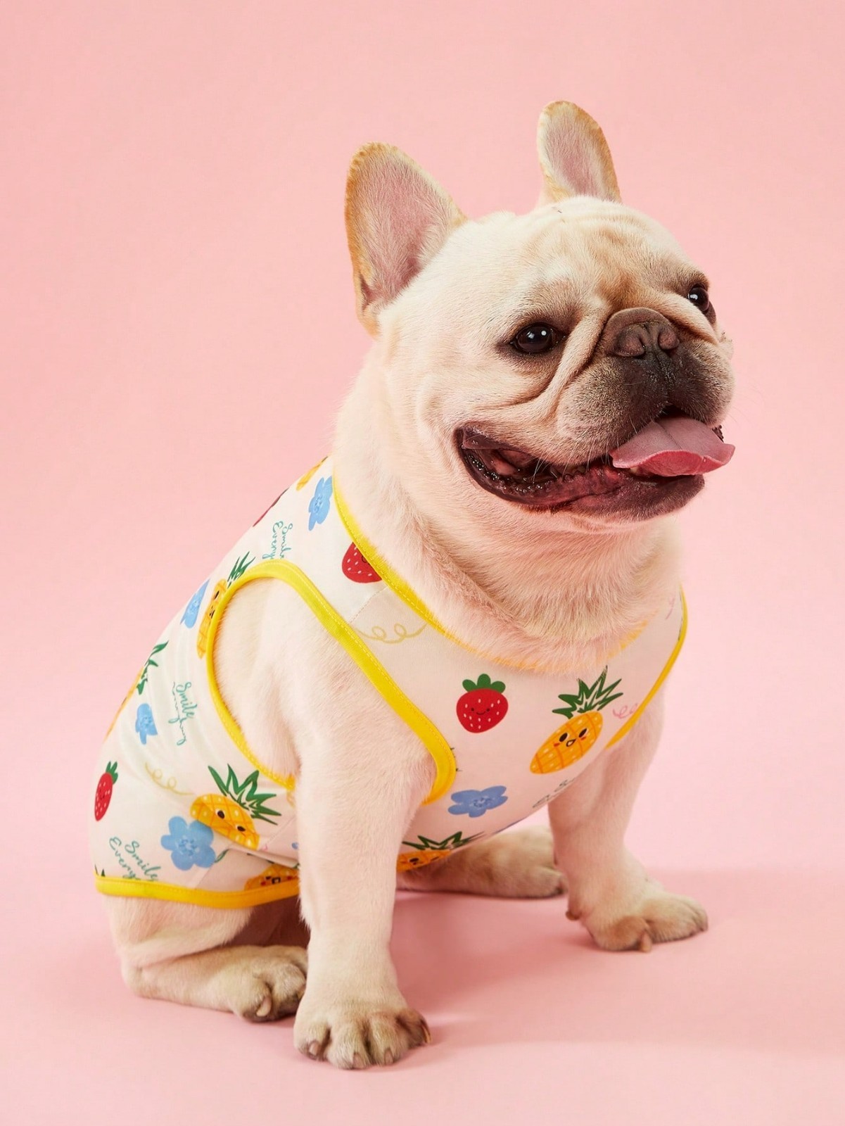 2PCS Small Pet Dog Cat Summer Shirts Vest Clothes Cute Puppy TShirt Coat Apparel