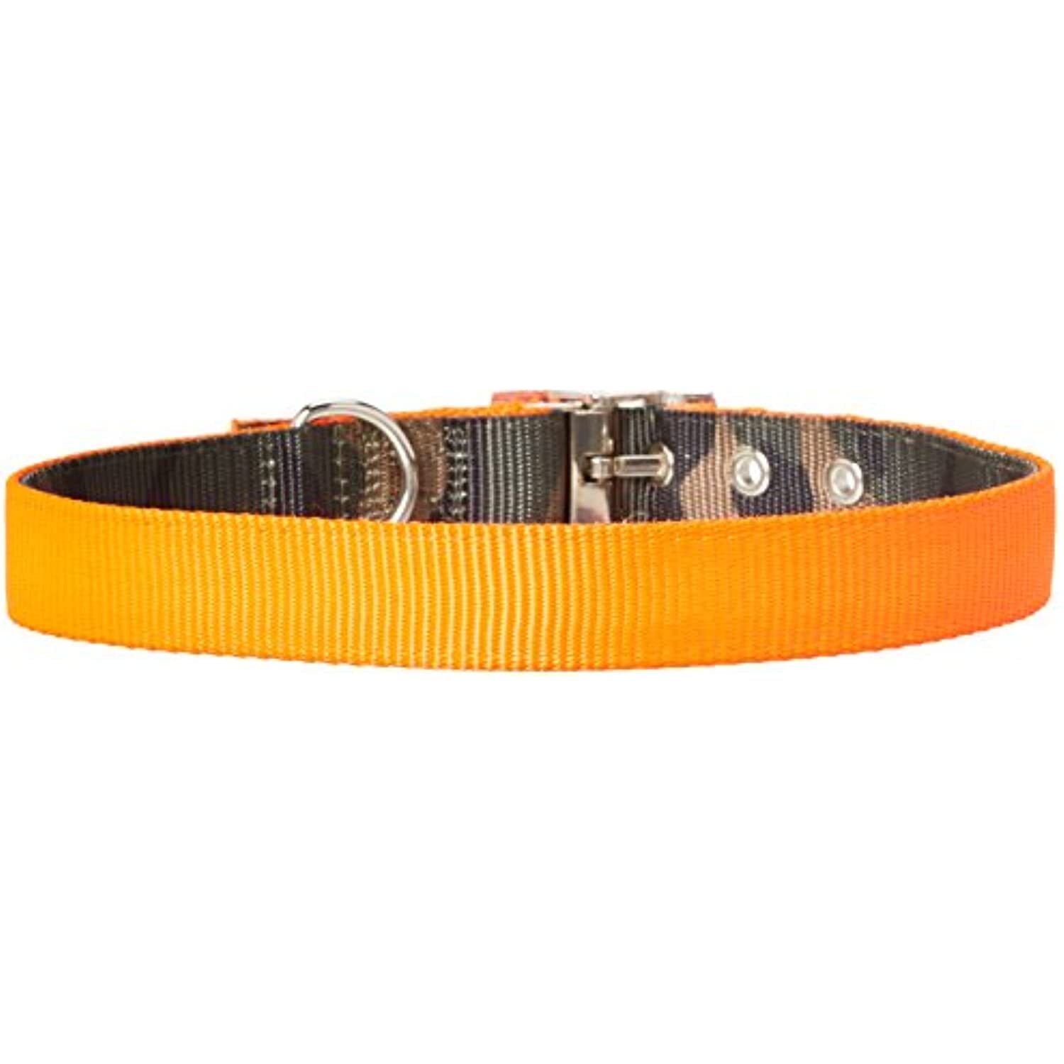 Westminster Pet Products Pet Expert 1″ x 20-24″ Camo & Safety Orange Reversible