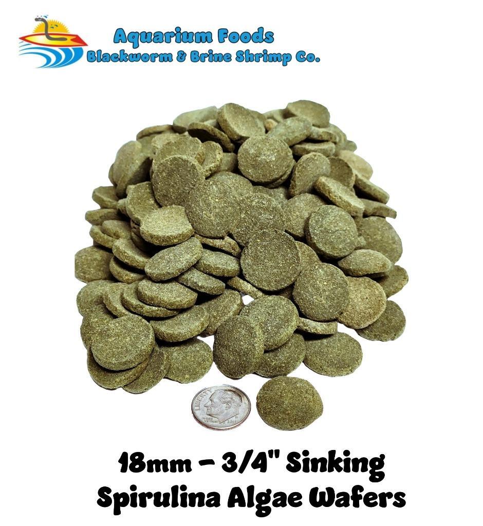 18mm-3/4″ Large Spirulina Algae Sinking Wafers, Tropical Fish