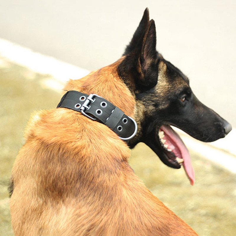 2″ Wide Tactical Heavy Duty Nylon Large Dog Collar K9 Military With Metal Buckle