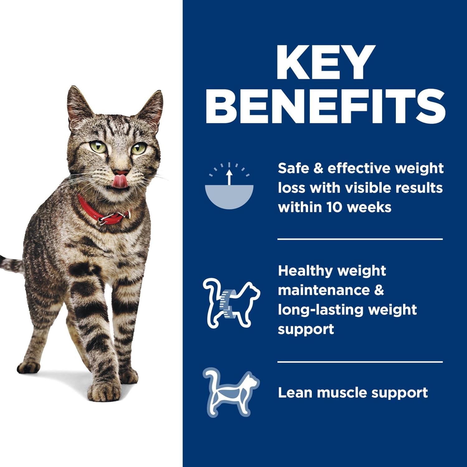 Adult Perfect Weight Management Chicken Recipe Dry Cat Pet Supplies, 15-lb bag