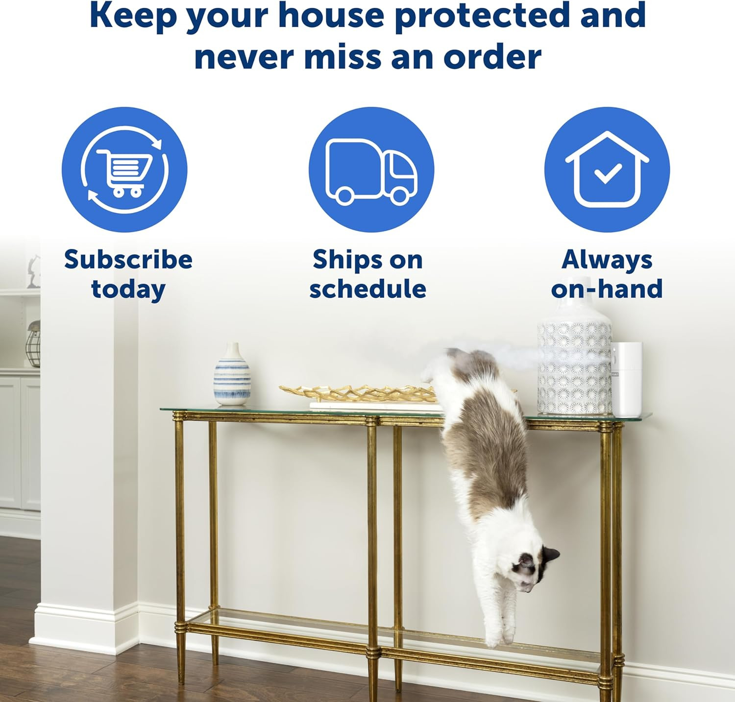 PetSafe SSSCAT PPD00-17622 Refill Can 3-Pack – Compatible 1st & 2nd Gen