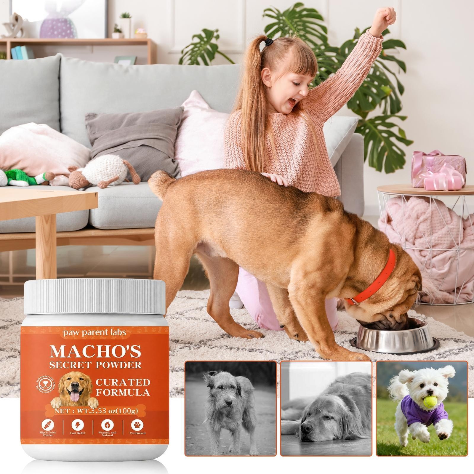 Machos Secret Powder, Paw Parent Labs Green lipped Mussel, Support Dog Cartilage