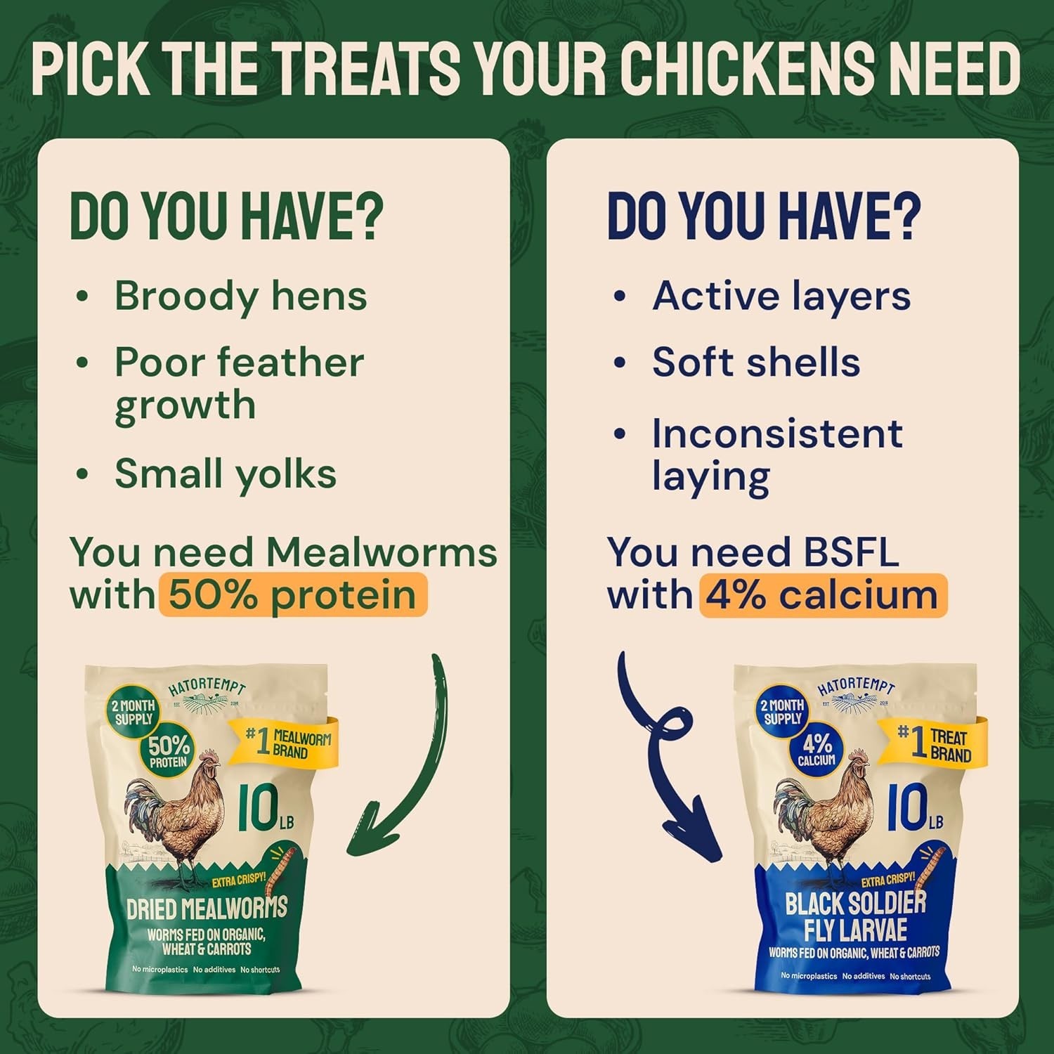 High-Quality Dried Mealworms for Chickens & Wild Birds – 10 Lb Organic & Non-GMO