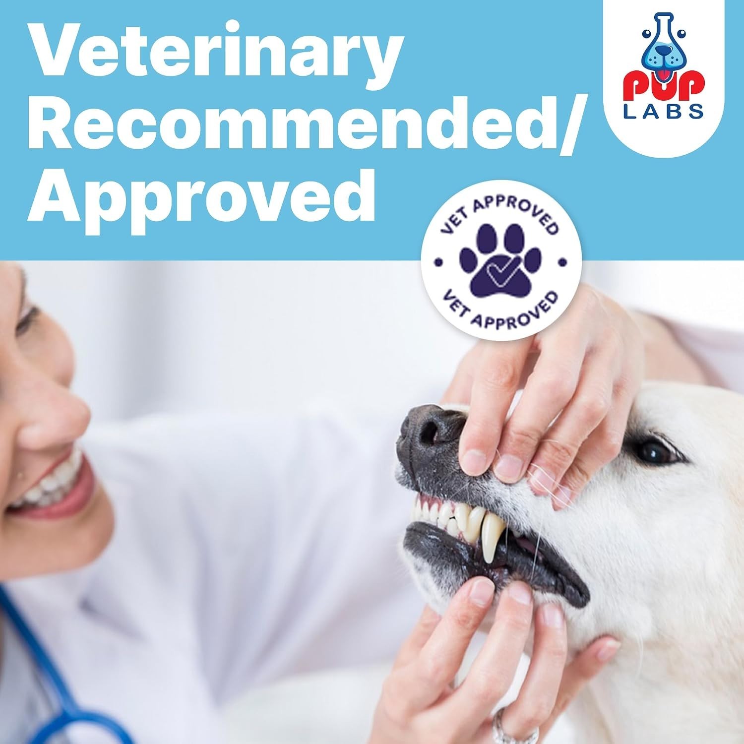 ProDenta, All-Natural Dog Dental Powder for Teeth Cleaning, Dental Powder for…