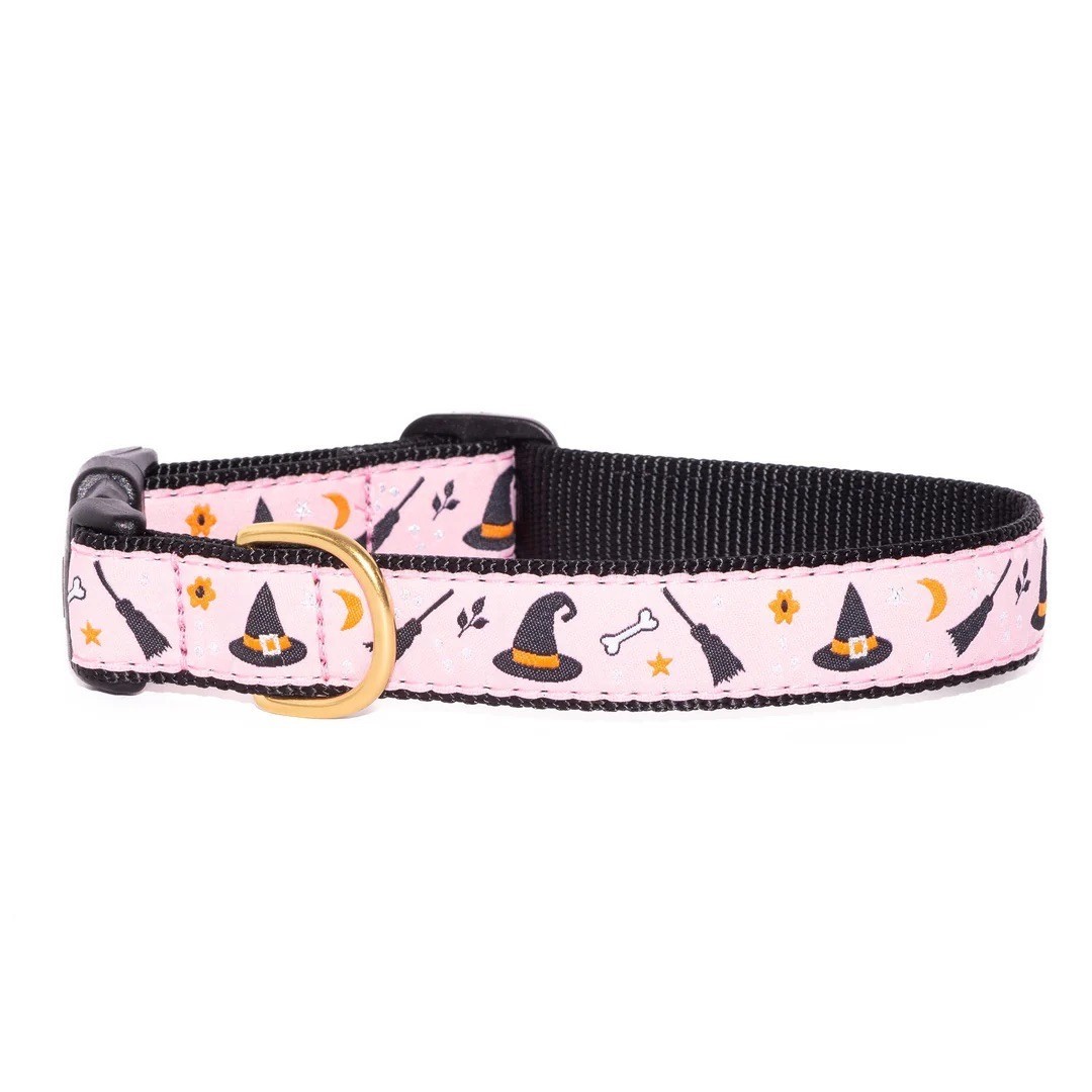 Up Country Dog Collar, Witchy, Adjustable, Made In USA, XS S M L XL XXL