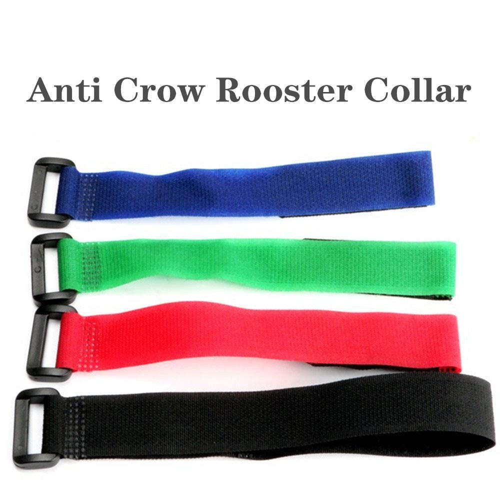 Paquete De 8 Collares Para Gallos Sin Cuervos, Collares Para Pollos Con Anti…