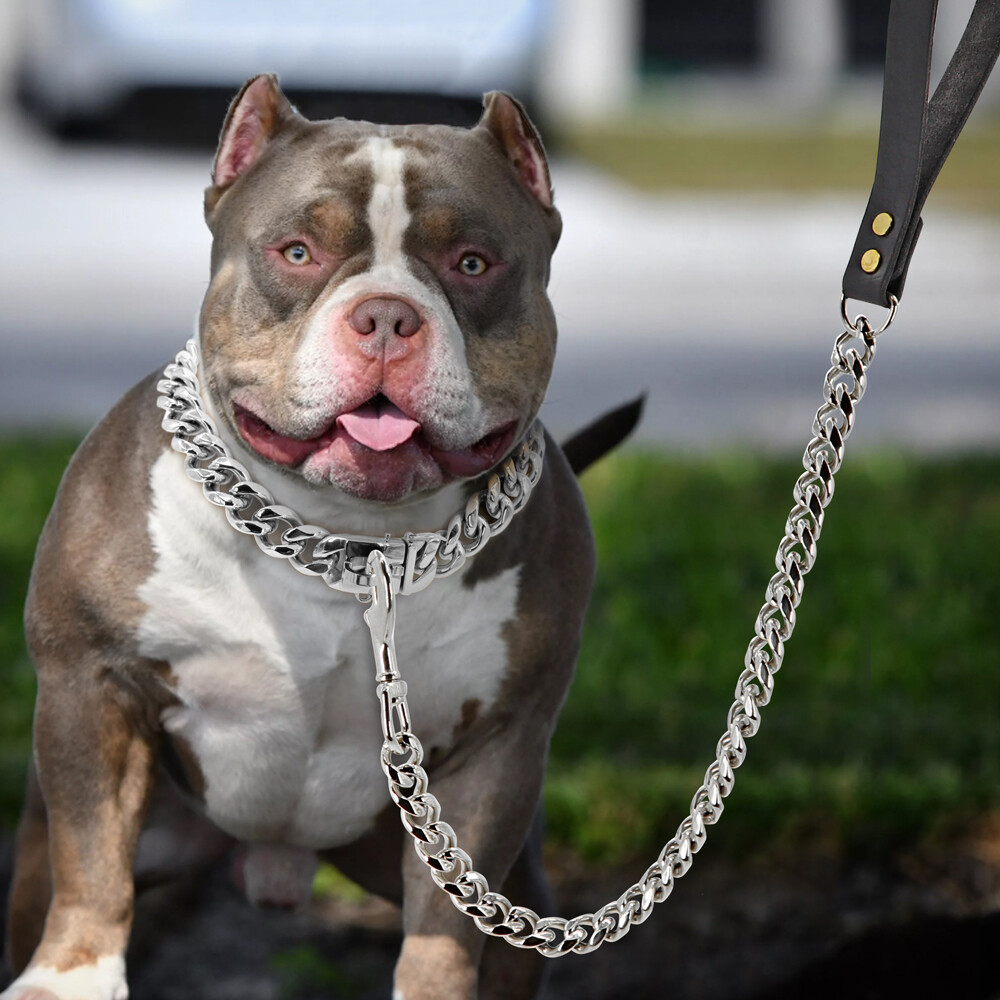 Dog Chain Collar & Leash Cuban Link Heavy Duty Stainless Steel Gold Silver 55cm
