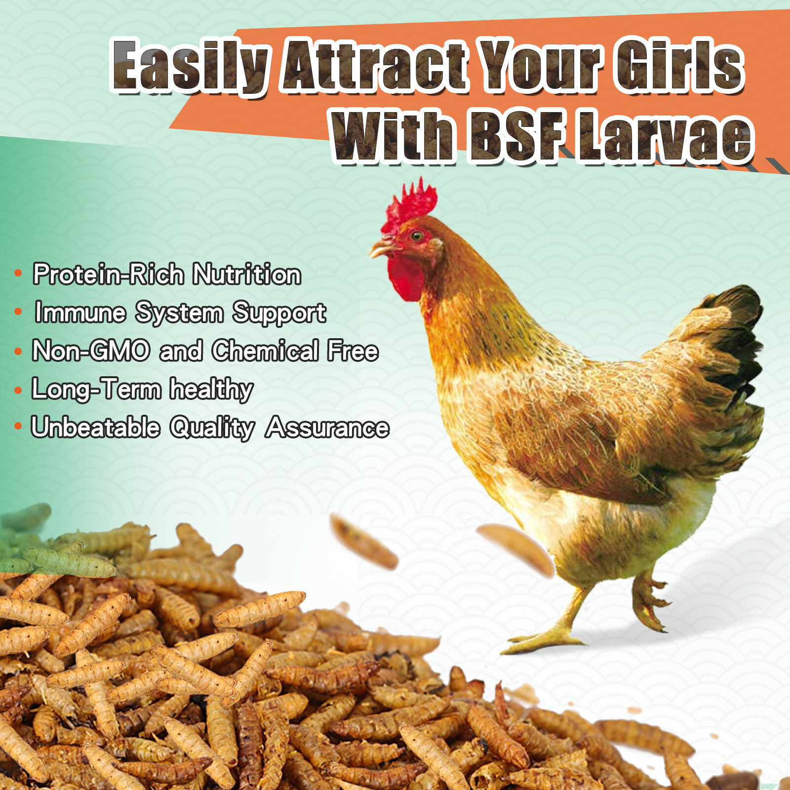 11 LBS Non-GMO Dried Black Soldier Fly Larvae Treats for Birds Chickens Hedgehog