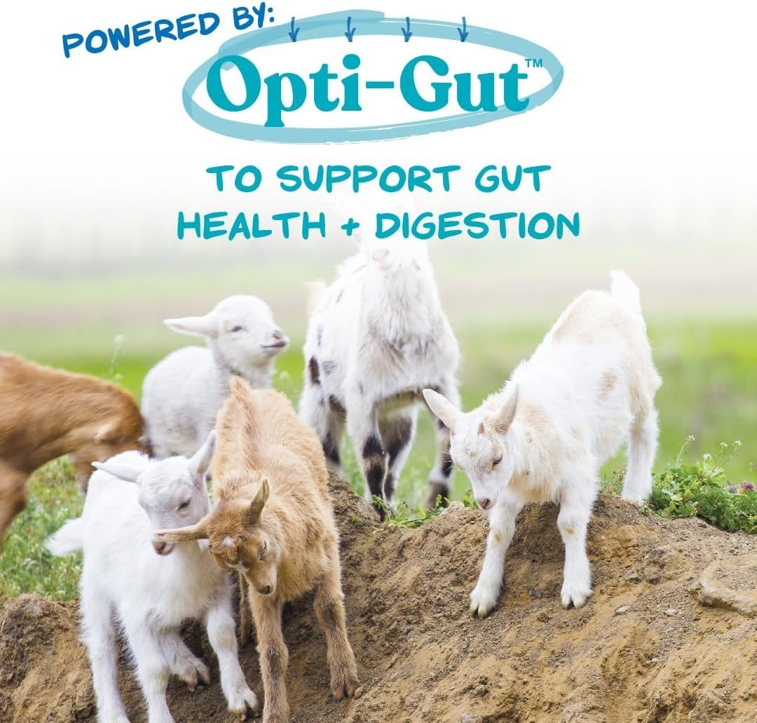 Nutritious Milk Replacer for Foals, Piglets, Goats, and Small Breeds