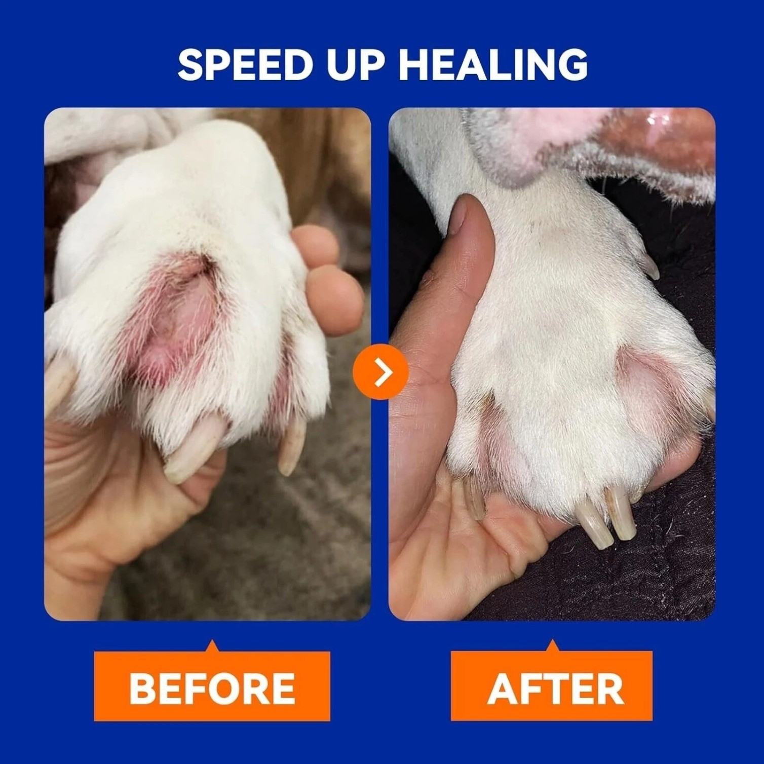 4oz Pet Skin Treatment hot spot and wound spray for Dogs and Cats