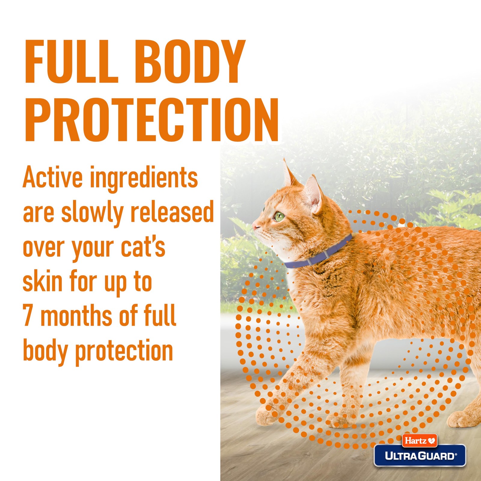 Hartz UltraGuard Flea & Tick Collar for Cats and Kittens, White