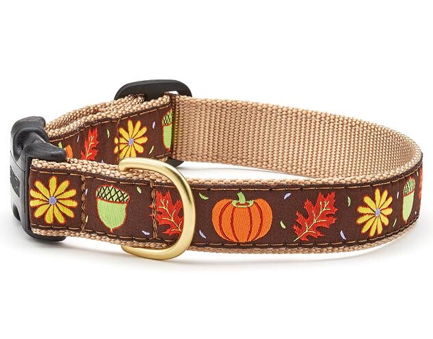 Up Country Dog Collar Fall Harvest Time Adjustable Made In USA XS S M L XL XXL