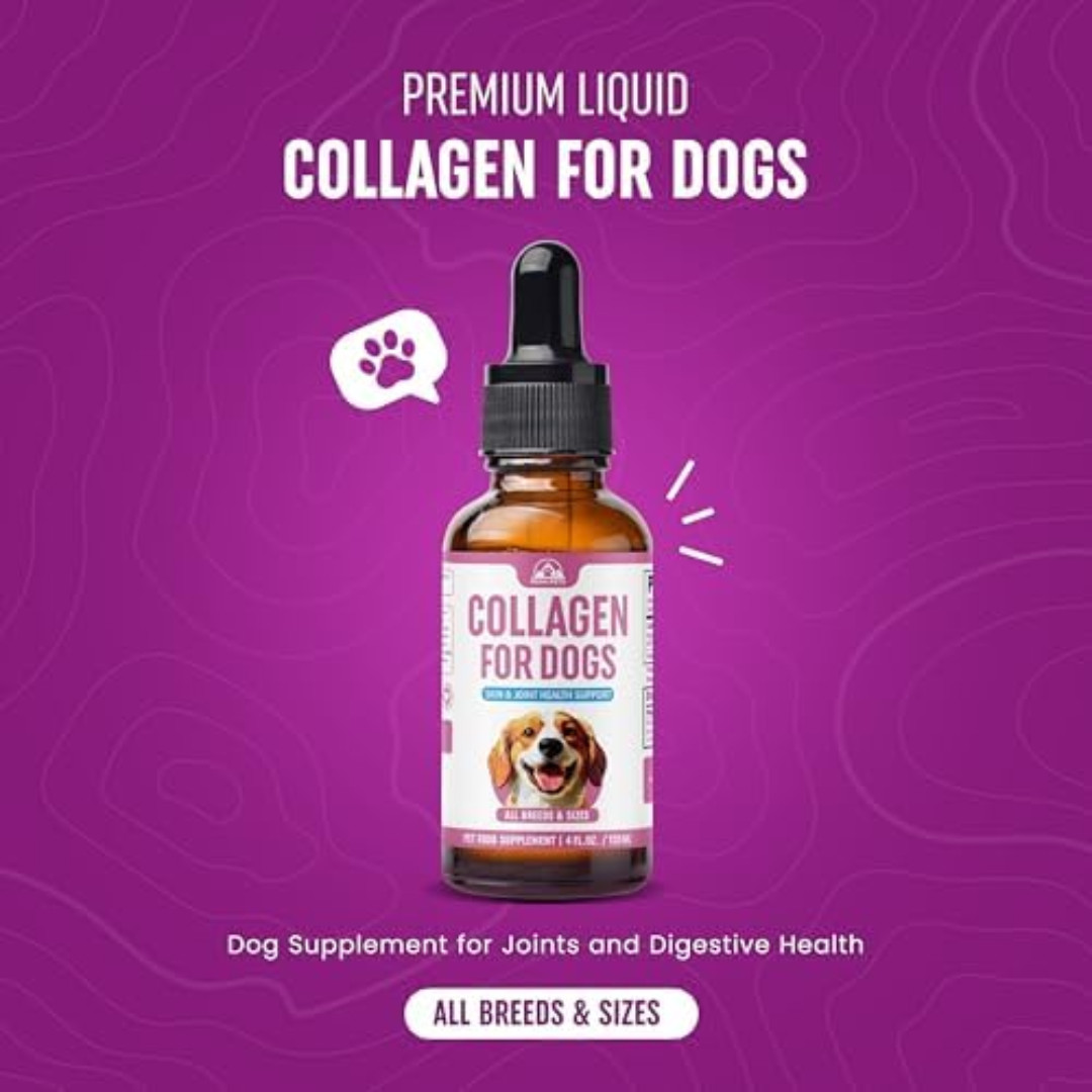 Premium Liquid Collagen for Dogs (120ml) Daily Collagen Dogs Supplement Drops