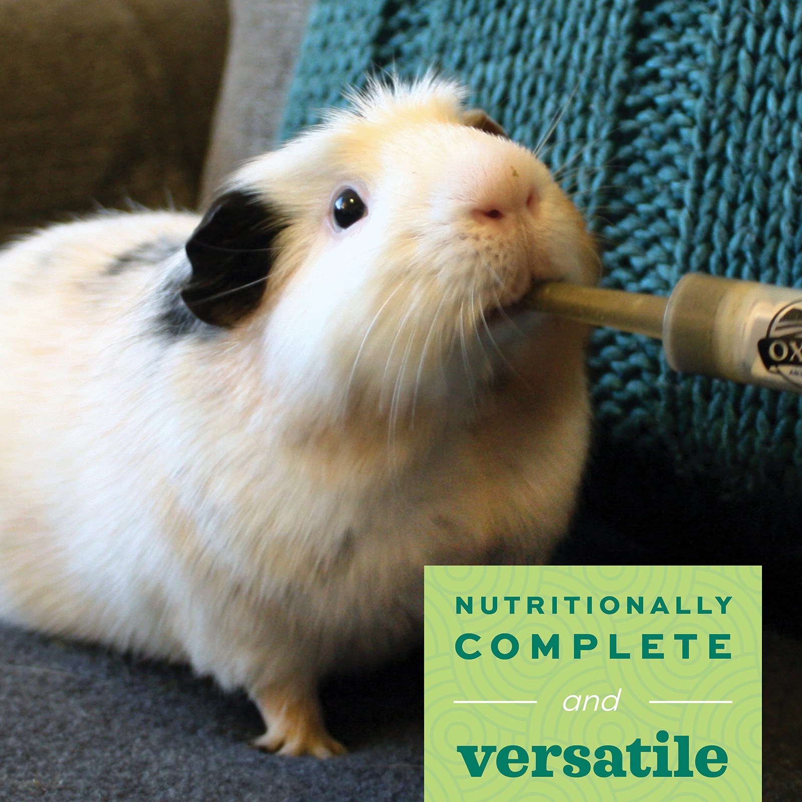 New Critical Care Herbivore 454g – Emergency Rabbit & Guinea Pig Food, Apple Ban
