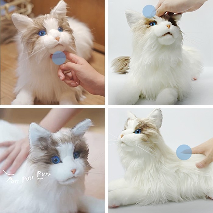 Metacat New version