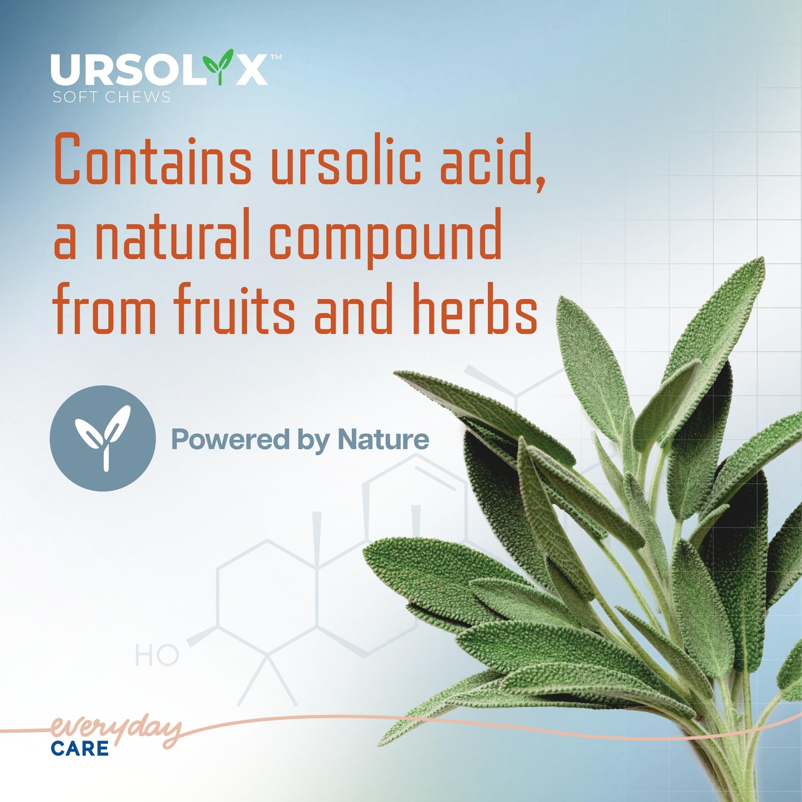URSOLYX Soft Chews for Dogs | Muscle Health Support for Senior, Active or Recove