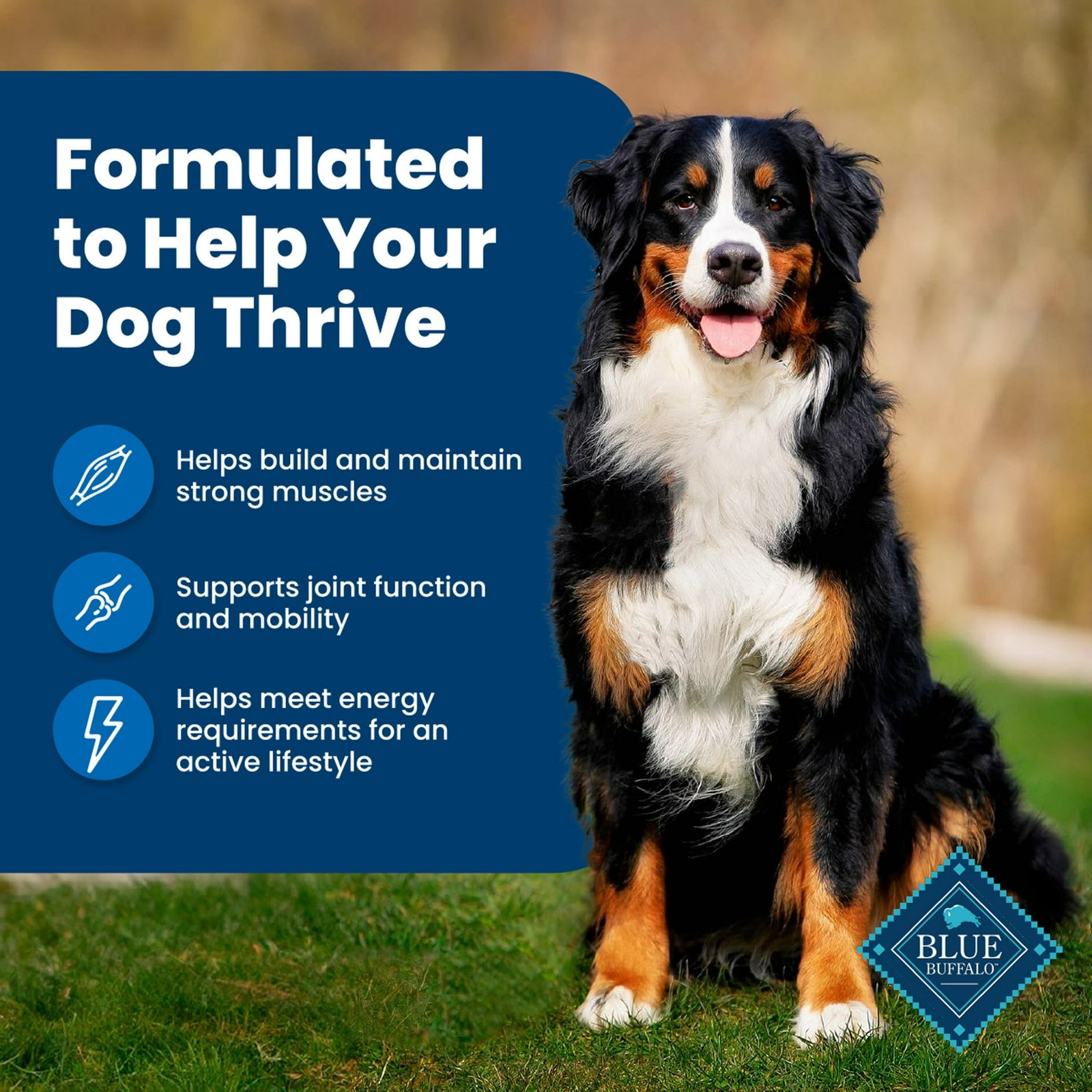 Blue Buffalo Life Protection Formula Adult Dry Dog Food, Chicken&Brown Rice,30lb