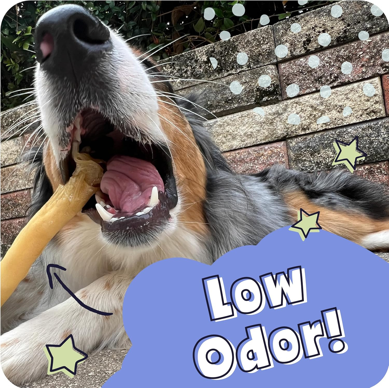 All Natural 11-12″ Roasted Collagen Sticks for Dogs – Low Odor
