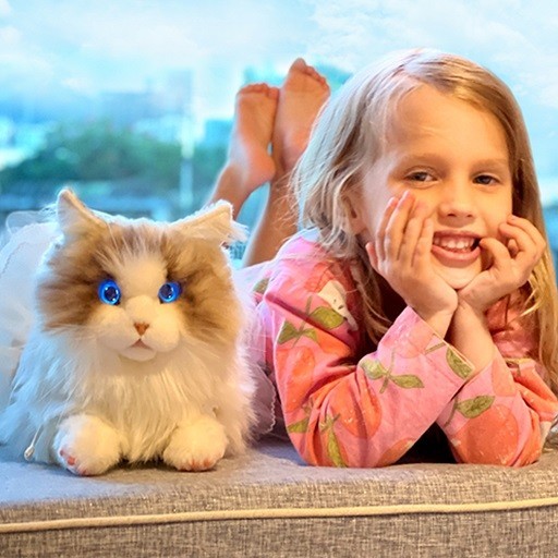 Metacat New version