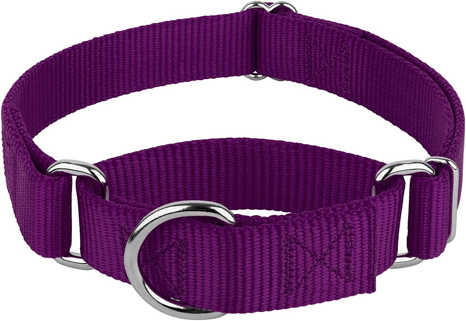 Martingale Big Dog Collar Premium ~ No Choke ~ S M L Nylon No Buckle Training