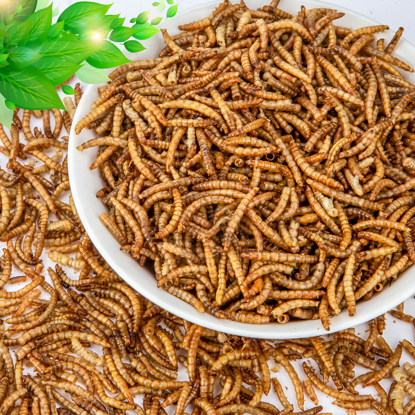 Dried Mealworms High Protein Non-GMO Bulk Food For Chicken,Bird,Turtle,Fish,Duck