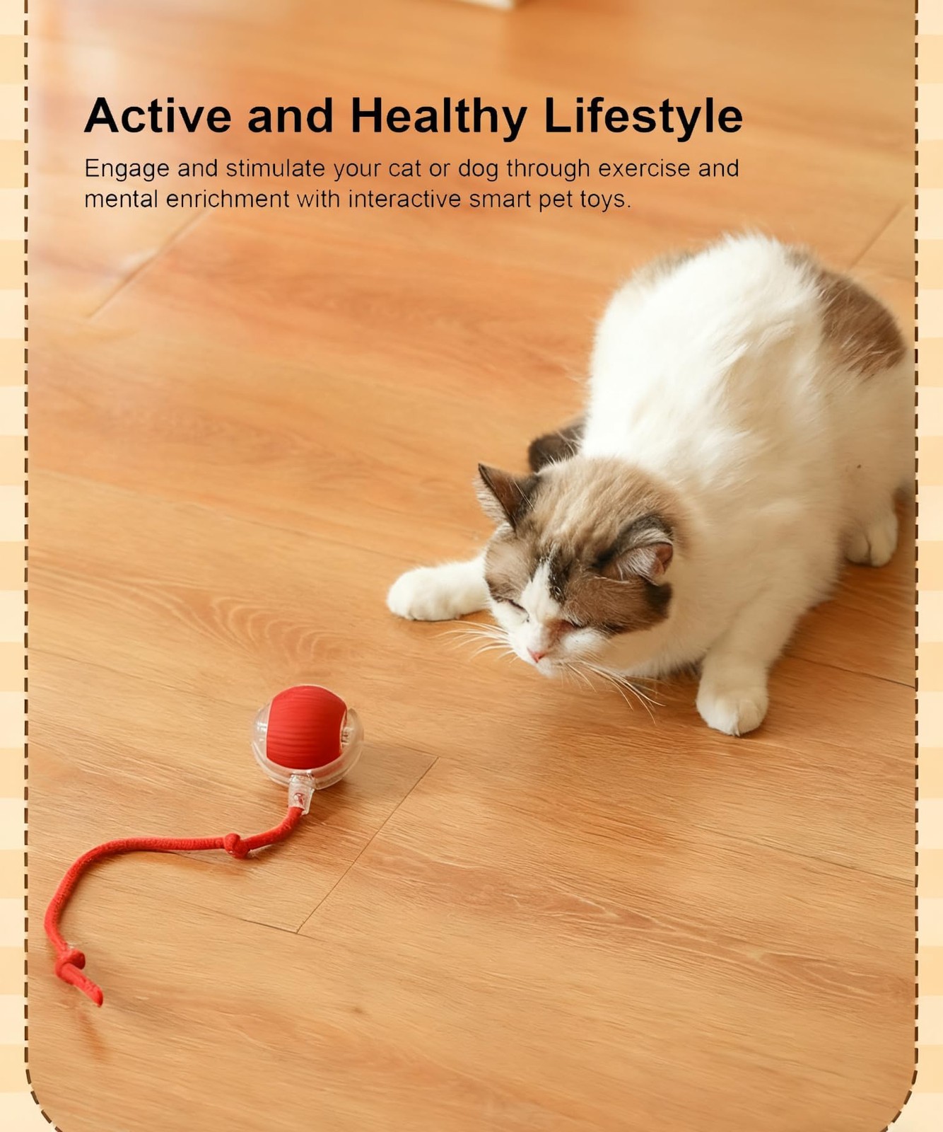 Liedrg Interactive Cat Toy Ball for Indoor 3.15 x 2.56 x 2.36 inches, rad