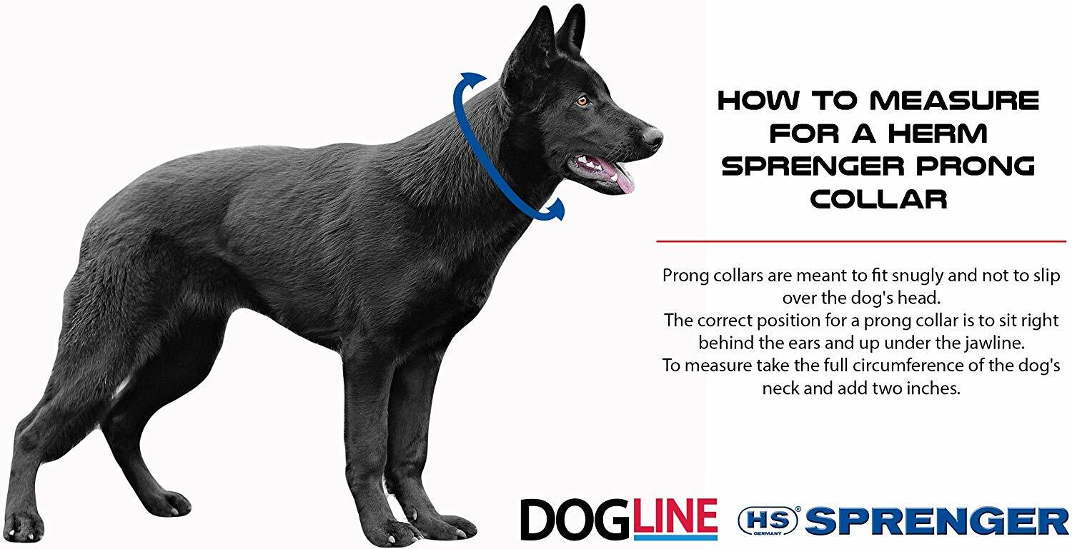 Herm Sprenger Black Stainless Steel Prong Dog Training Collar with Buckle