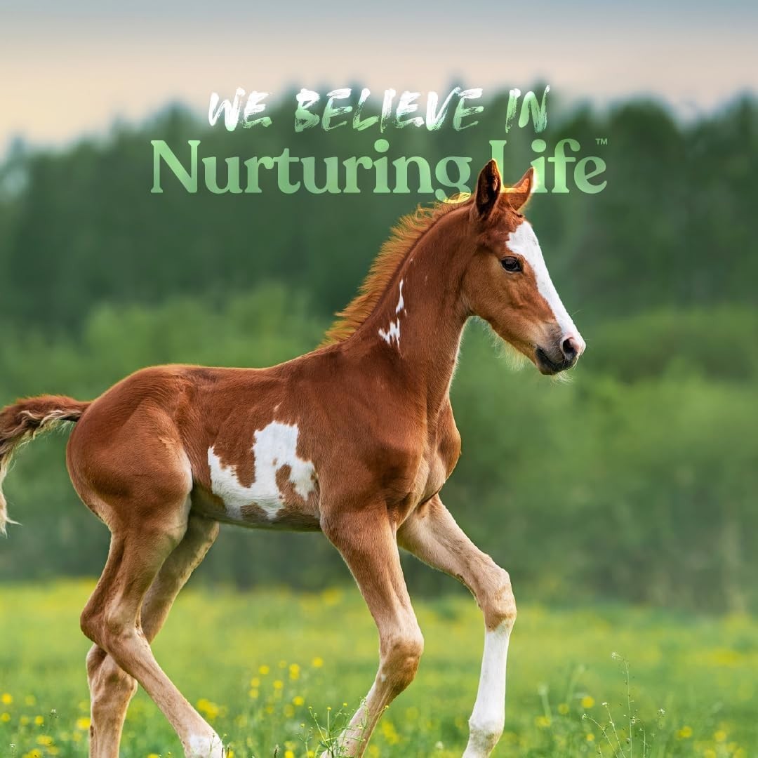 Nutritious Milk Replacer for Foals, Piglets, Goats, and Small Breeds