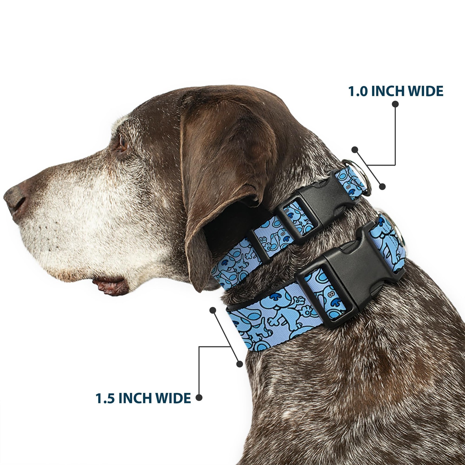 Dog Collar Blues Clues Poses Fits 1524 Inch Neck 1.0 Inch Wide Plastic Clip