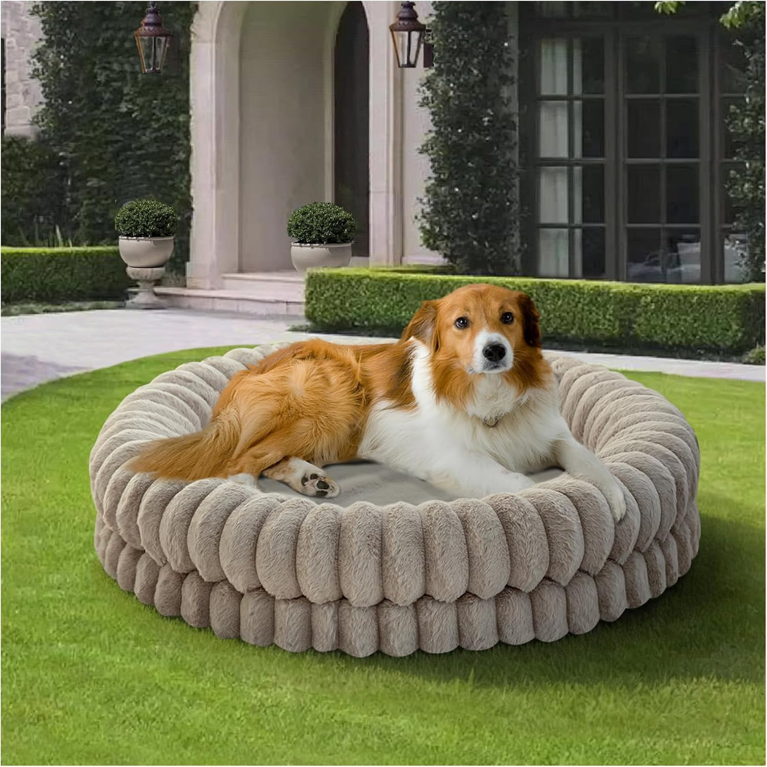 Luxury Donut Dog Bed, 36 Inches Round Dog Beds Large Sized Dogs Washable