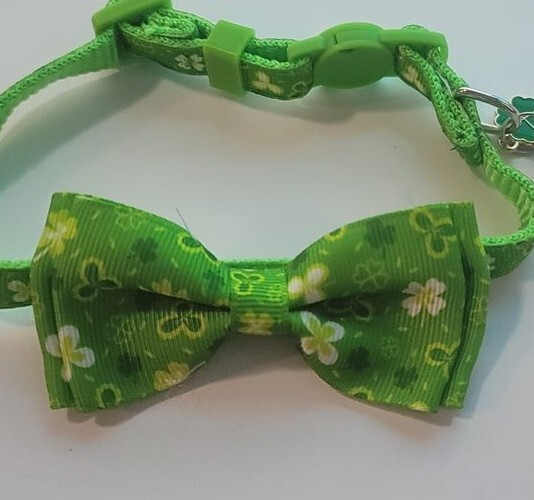 GREEN SHAMROCK 4 LEAF CLOVER CHARM CAT BREAK-AWAY ADJUSTABLE COLLAR – 7″ TO 10″