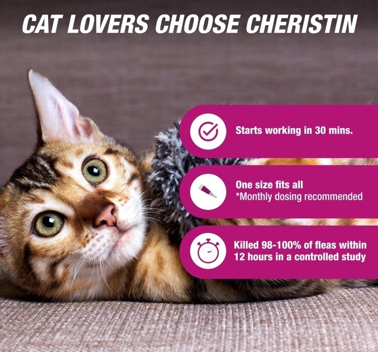New Cheristin Flea Treatment & Prevention for Cats | Fast acting 1 Application