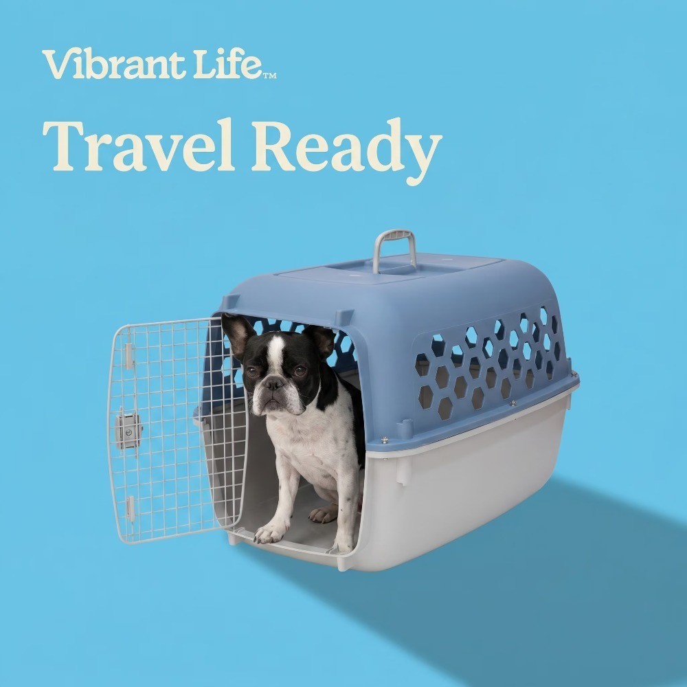 Small 2 Door Blue Dog Crate for Pets up to 25 lbs