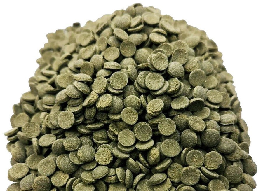 Algae Disc – Sinking Disc Diet for Aquatic Herbivores & Algae-Eaters