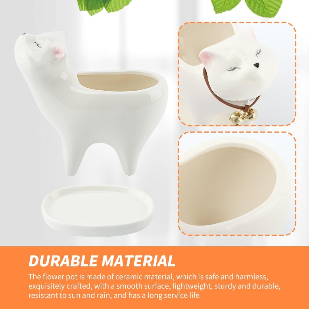 Unique Tailless Cat Little Planter Pot,Adorable free size, as picture show