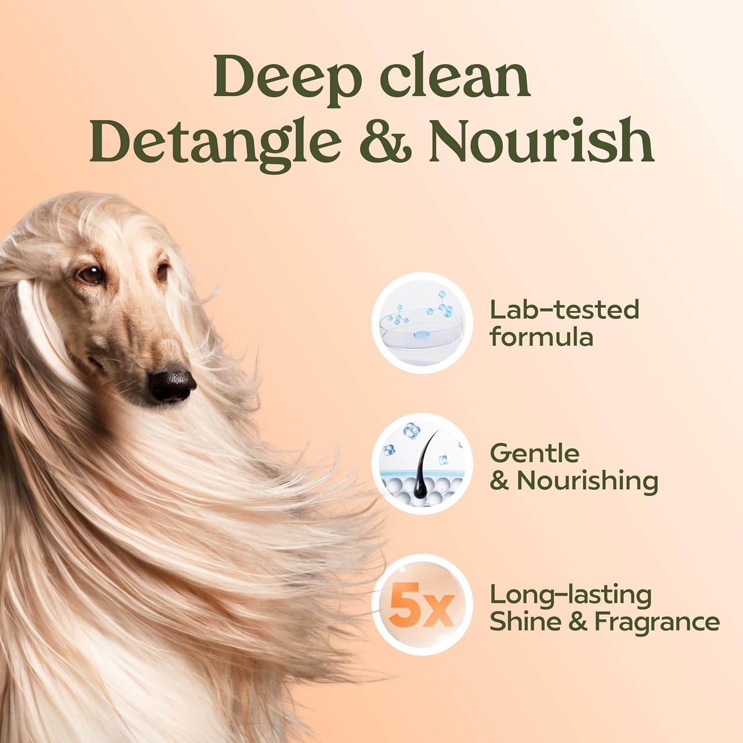 PAWFUME Deshedding Dog Shampoo and Conditioner, Show Dog, 1-Pack – Nourish & Det