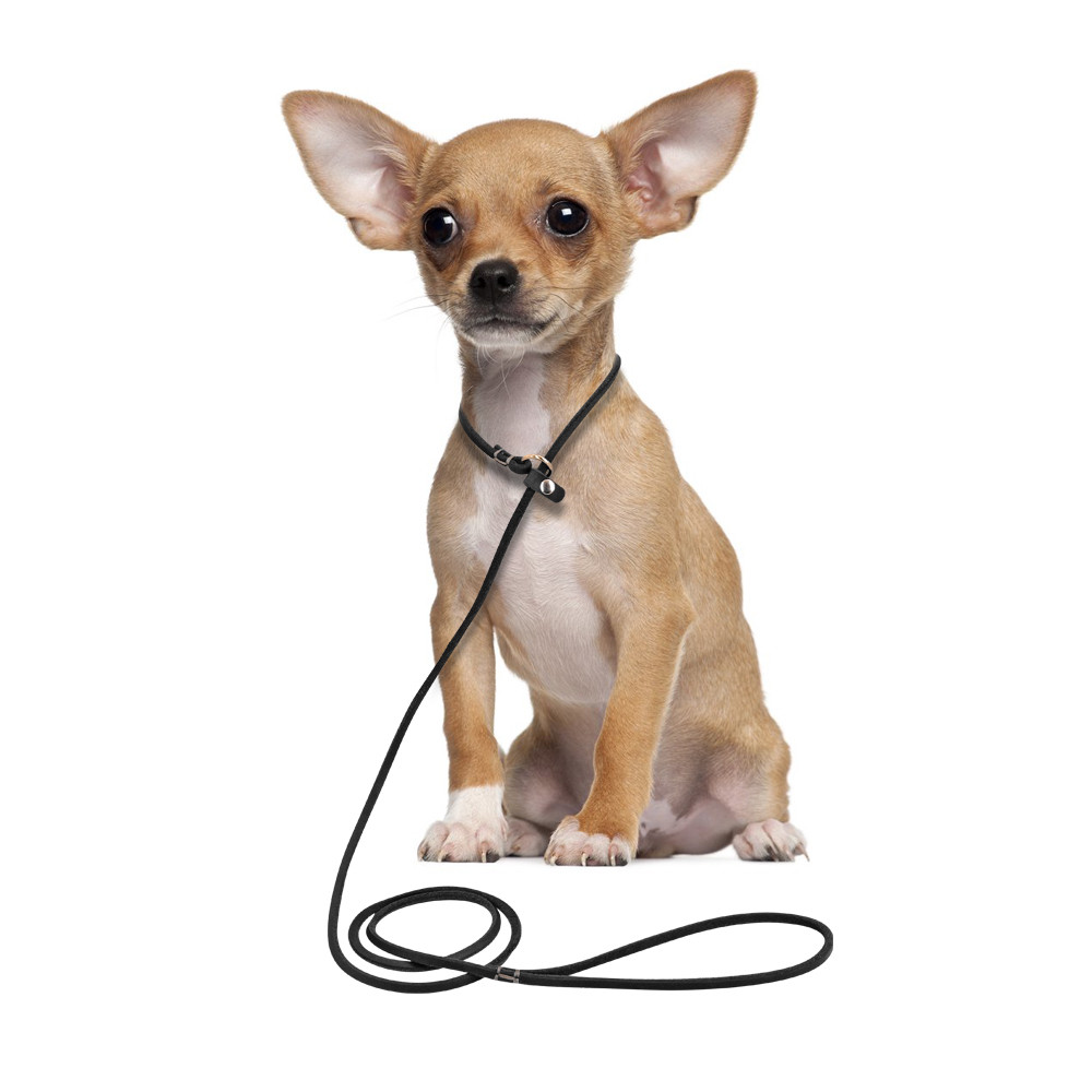 Genuine Leather Dog Show Slip Leash Puppy Small Dog P Leash Choke Training Lead