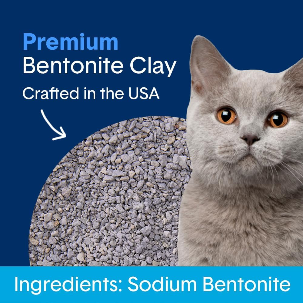Boxie® Unscented 30 Day Natural Odor Control Cat Litter, 40Lb Clumping Clay Kitt
